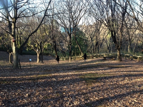 photo:06