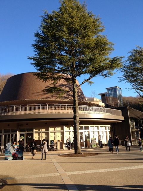 photo:01