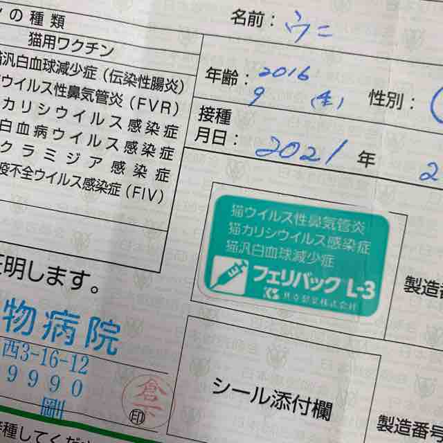 お注射 ちっくん それでもロクロは回ってる