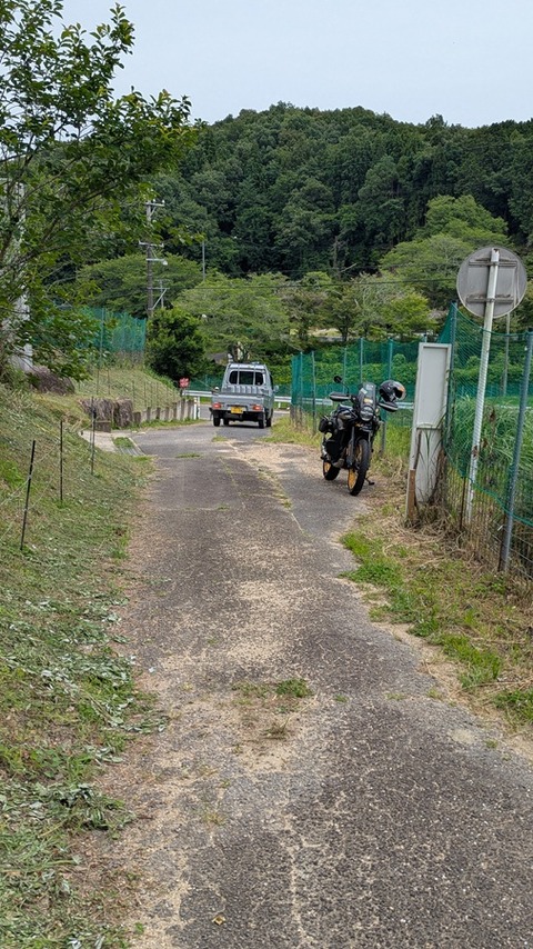 toyota (17)