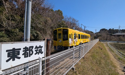 PXL_20260308_024912042
