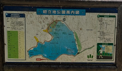 PXL_20250625_044831618