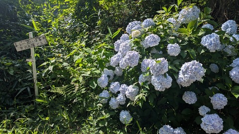 PXL_20260616_232939160