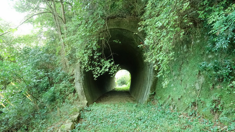 豊橋鉄道田口線滝上駅 (6)_01