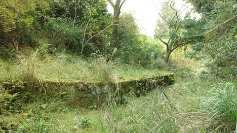 豊橋鉄道田口線滝上駅 (3)_01