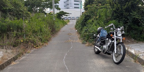 PXL_20260713_070832217