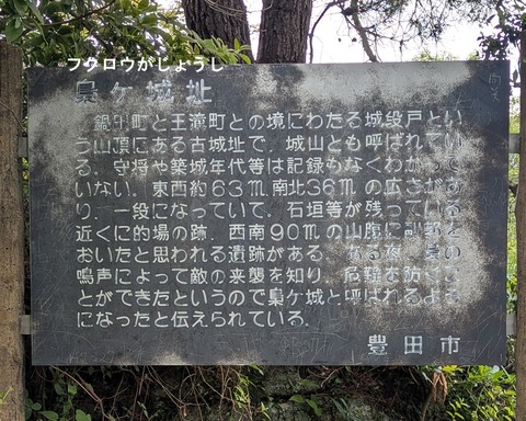 toyota (15)