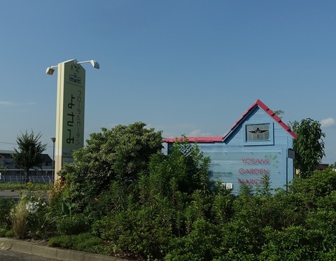 DSC05715