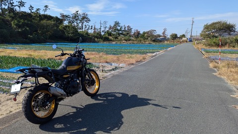 PXL_20241127_020827904