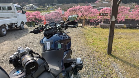 PXL_20250408_061448482