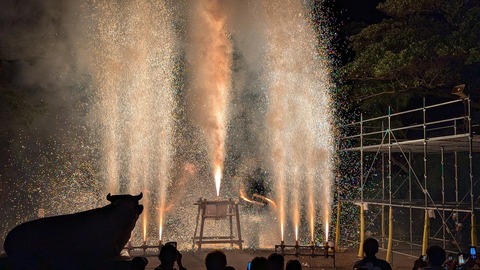 PXL_20241012_115330112.MP