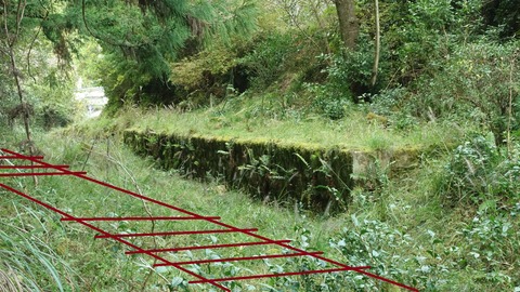 豊橋鉄道田口線滝上駅 (1)_01