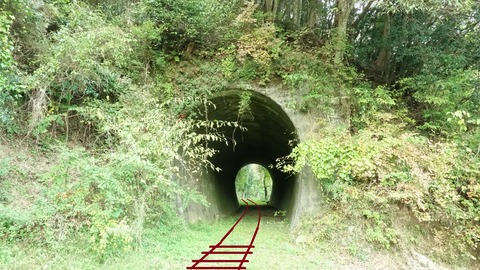 豊橋鉄道田口線滝上駅 (5)_01