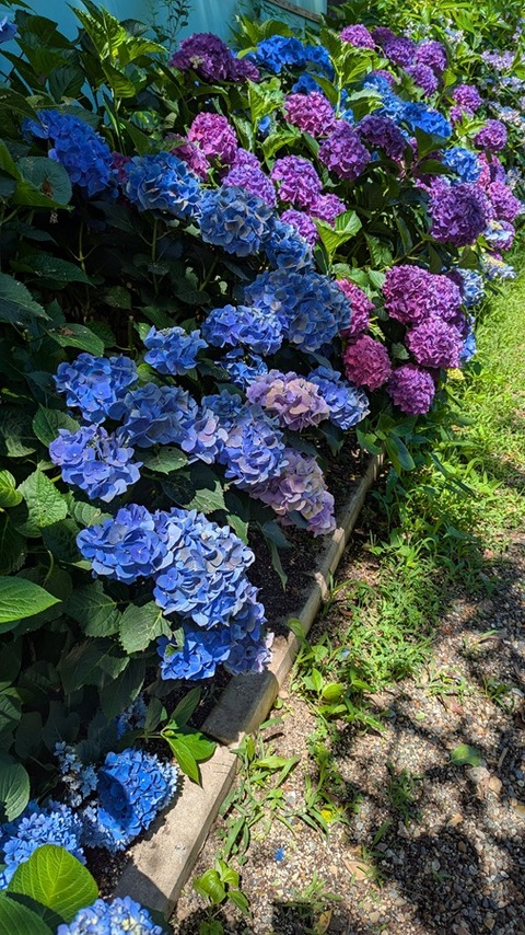 PXL_20250625_050753347