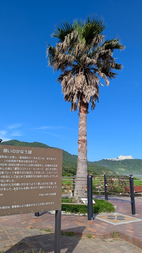PXL_20250625_063338115