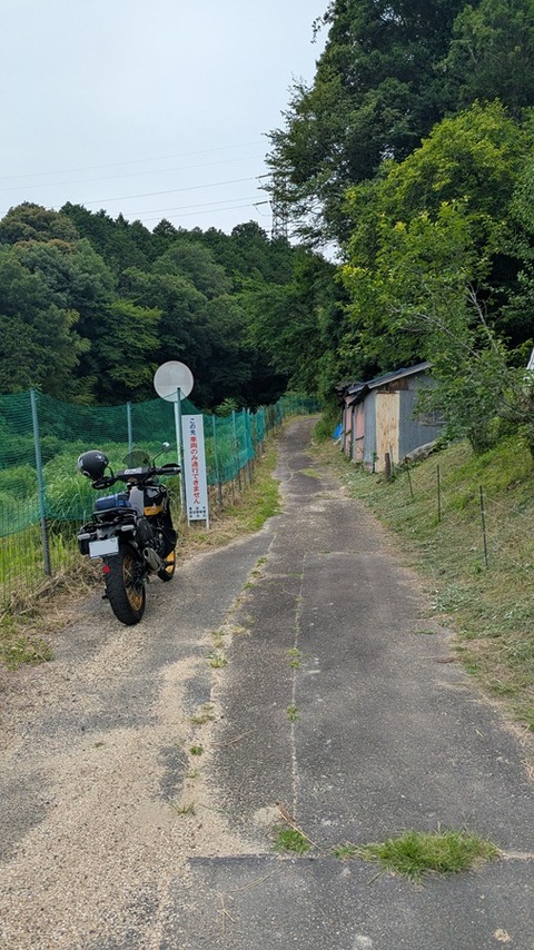 toyota (3)