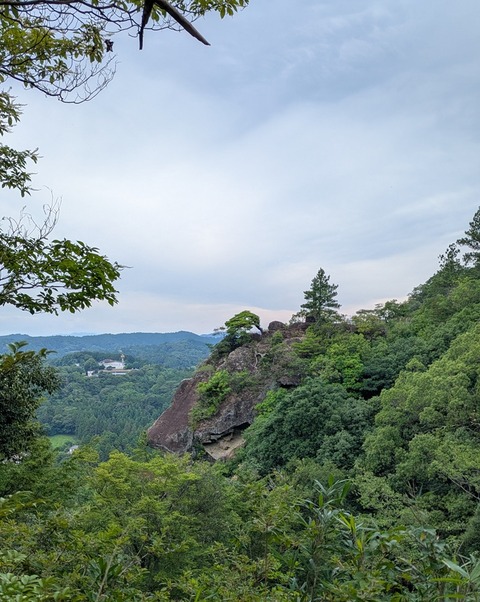 PXL_20260713_040308399