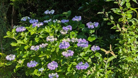 PXL_20260616_233138310
