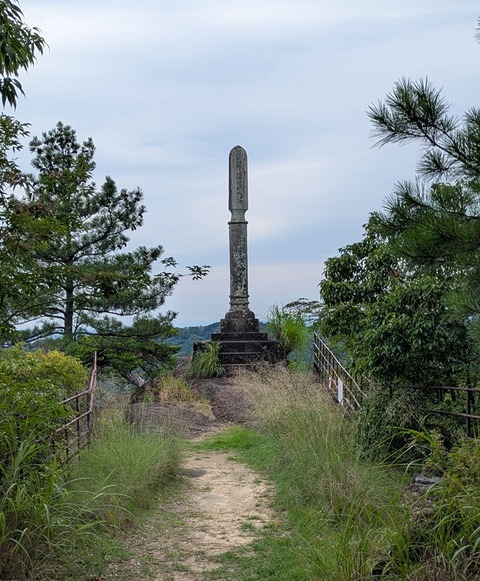 PXL_20260713_035849094