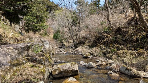 suginoko (9)