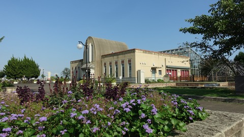 DSC05718