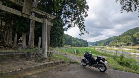 z (10)