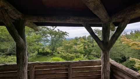 toyota (12)