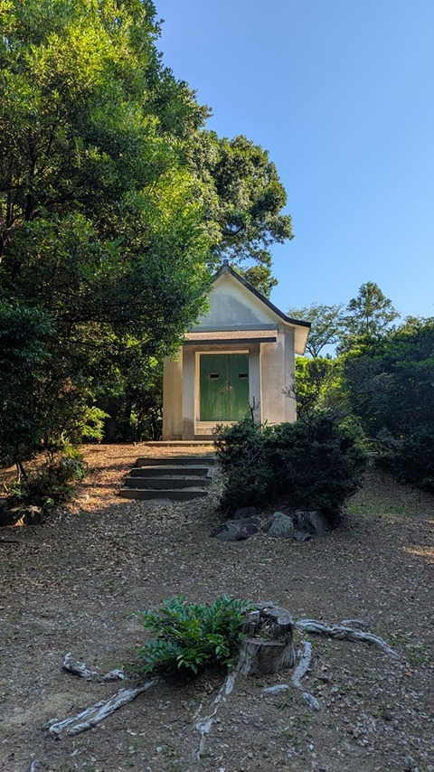 PXL_20250628_224830760