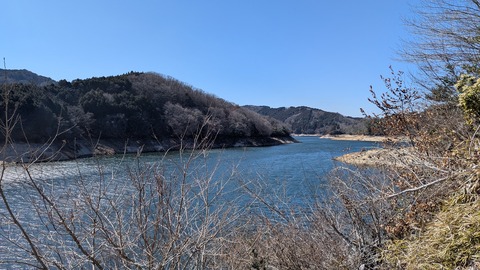 PXL_20260308_040527955