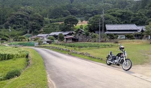 PXL_20260713_050209739