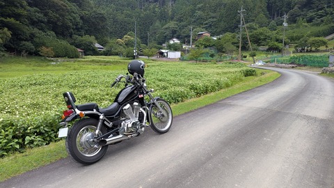 PXL_20260713_050331687