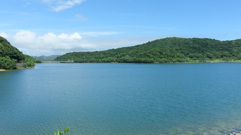 DSC05101