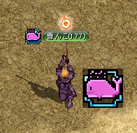 雪んこ