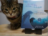 DVD¡Ö¿¼¤¤´¶Æ°¤È¿´¤ÈÂΤˤ·¤ß¤³¤à¡×