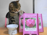 『楽しむ人』になる