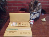 友を呼ぶ財布2019春