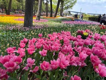 IMG_5132