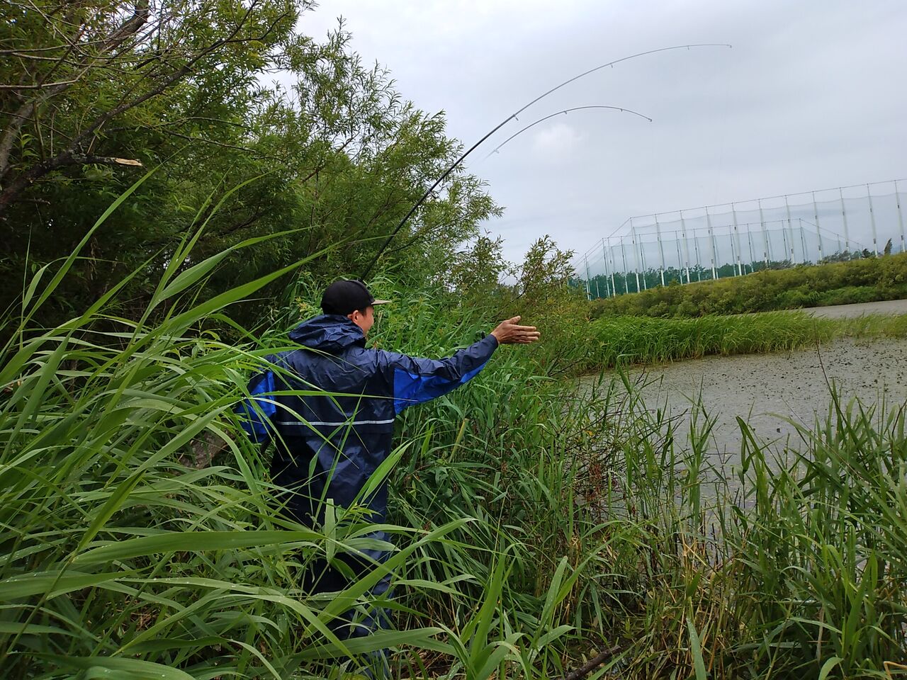ライギョ釣り Teturoの日記 ライギョ釣り Teturoの日記