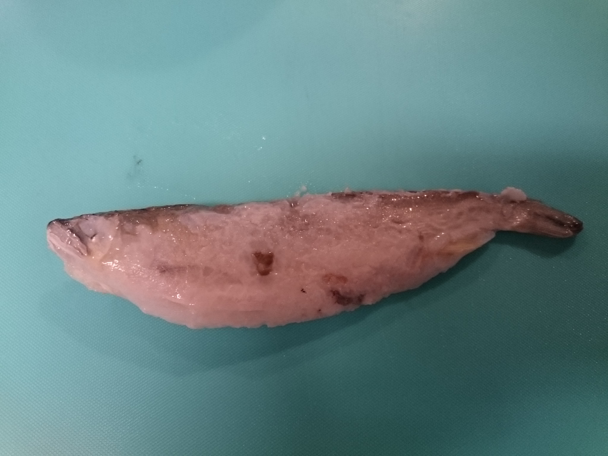 魚友商店・鮎のなれずし : 発酵力!発酵食品って素晴しいんです。