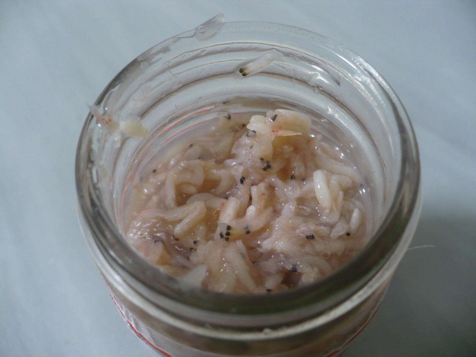 アマノ あみ塩辛 発酵力 発酵食品って素晴しいんです