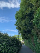 IMG_1207