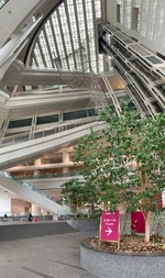 IMG_9488