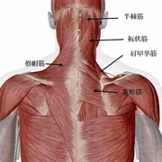 IMG-3413