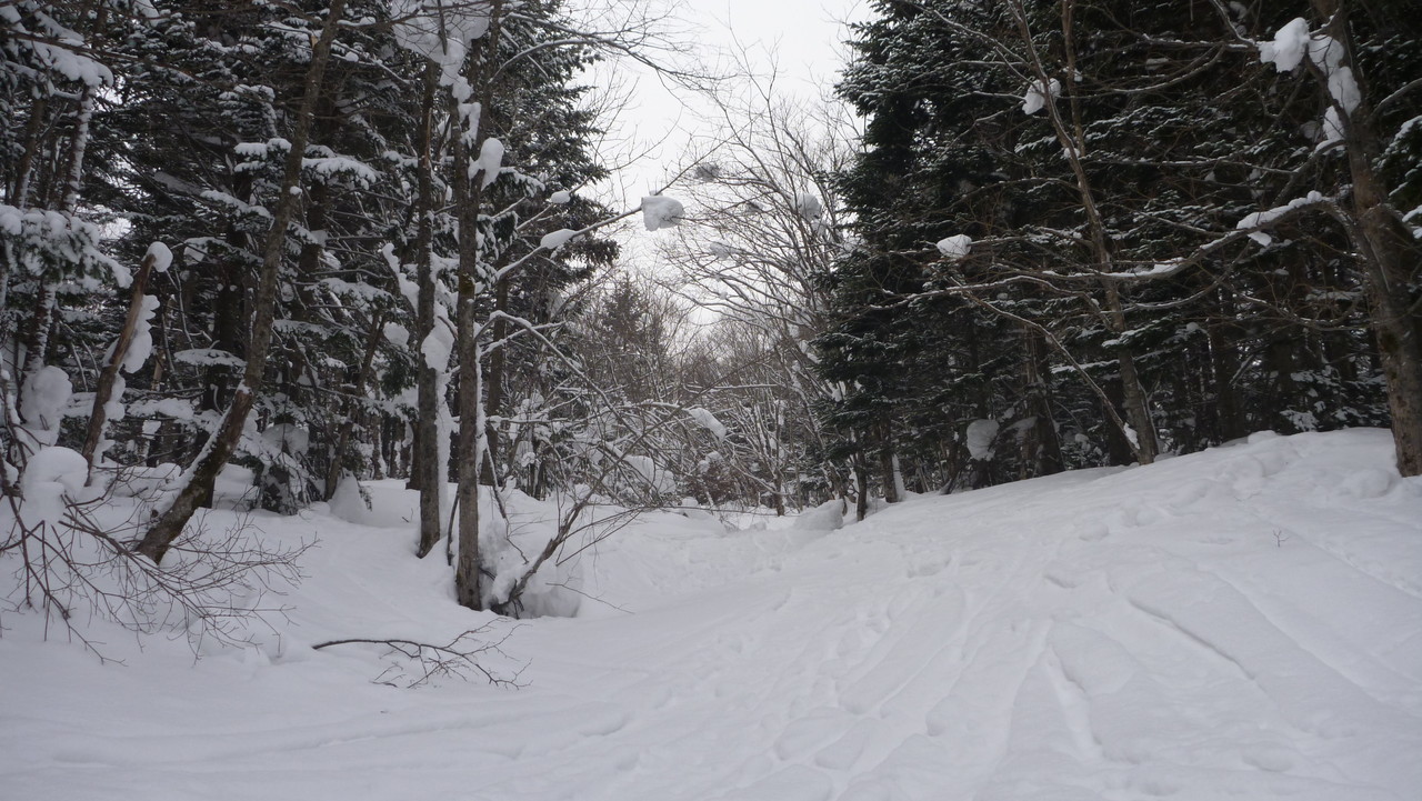 12 03 04 羊蹄山 京極コース 遊びの記録 山 スキー 自転車とか 12 03 04 羊蹄山 京極コース 遊びの記録 山 スキー 自転車とか