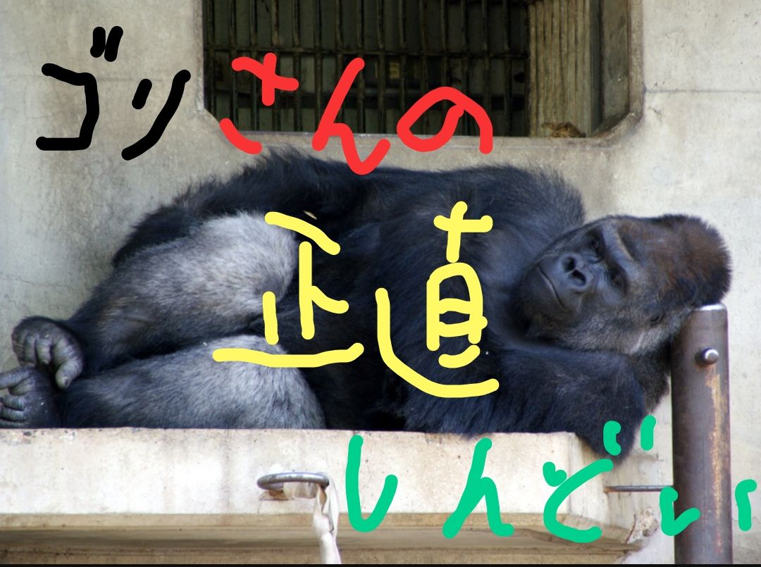 今 運命の振り子は不可能と可能の間を行き来する 魂のキングコング日記 今 運命の振り子は不可能と可能の間を行き来する 魂のキングコング日記