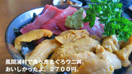 まぐろウニ丼