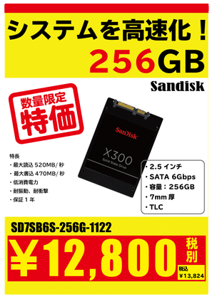 SANDISK256