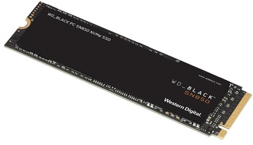 WDS100T1X0E_01