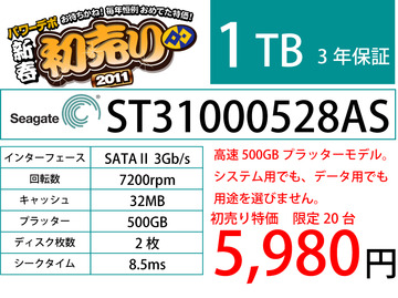 st31000528as