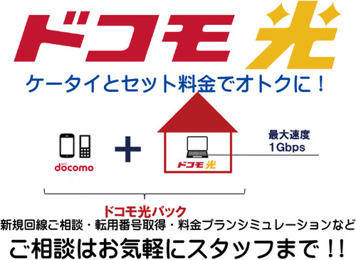 ドコモ光おすすめL版
